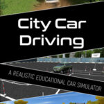 City Car Driving PC Konto Steam